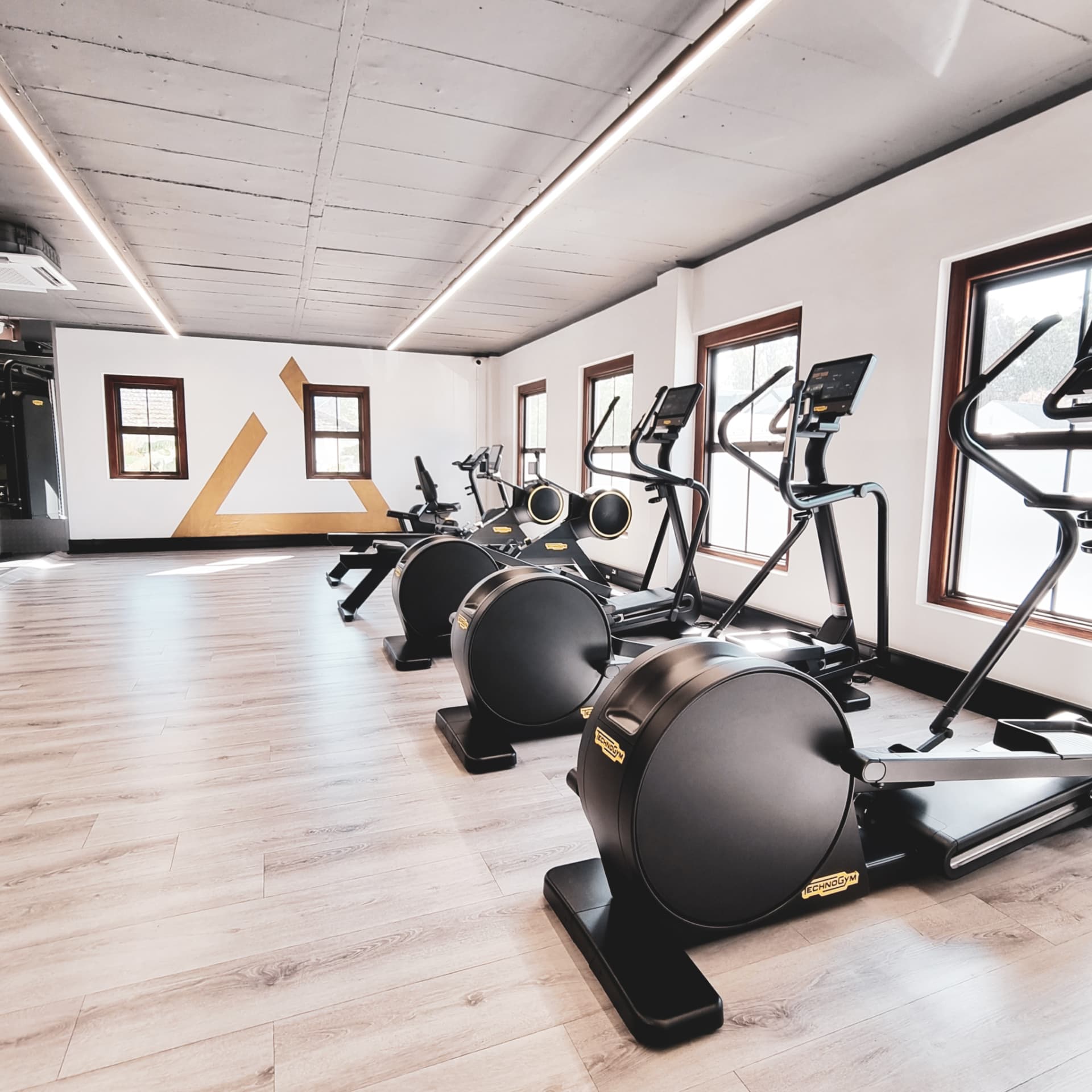 Technogym cardio row with natural light