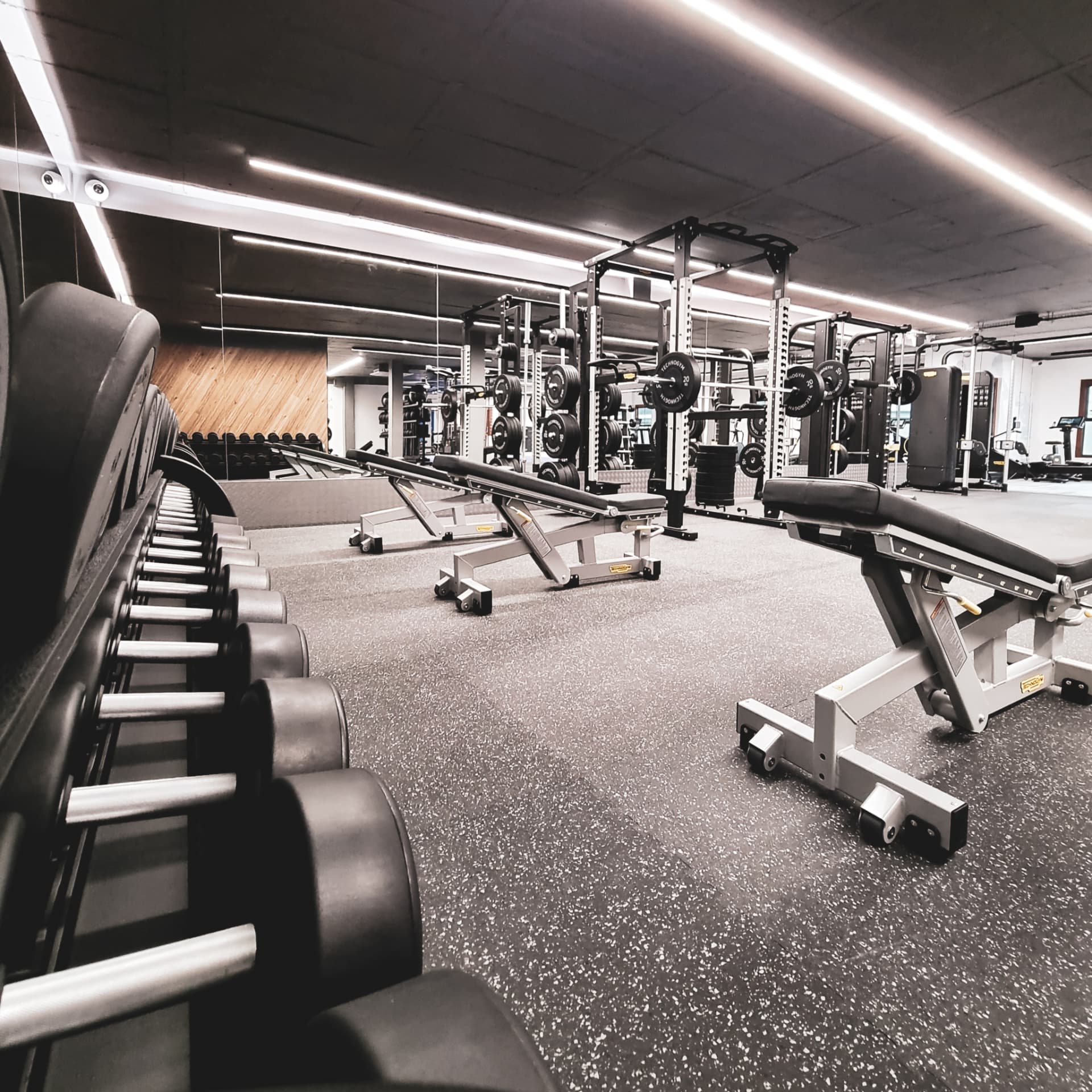 Free weights area with dumbbells, benches and squat racks